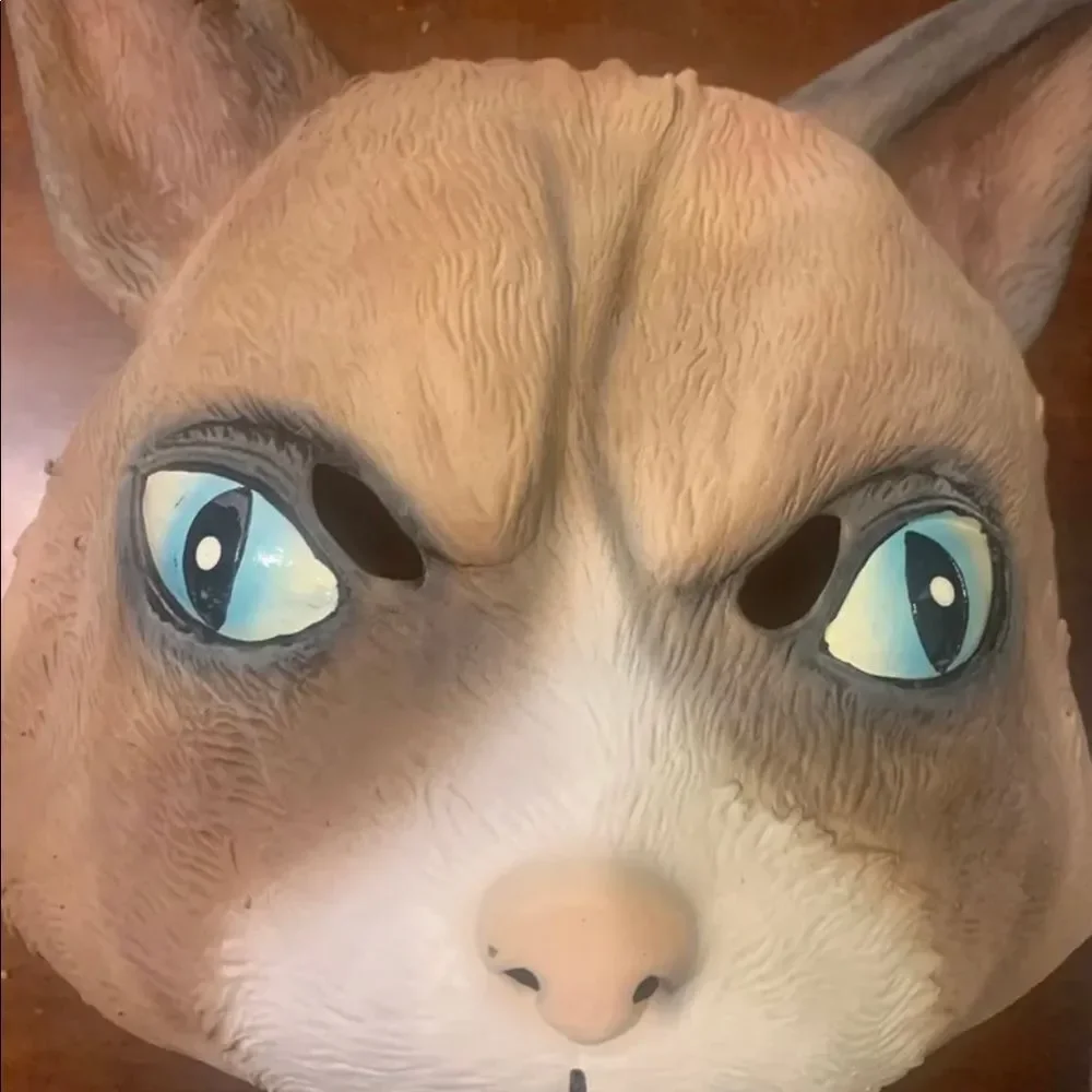 Cattitude mask Angry Cat Grumpy face
